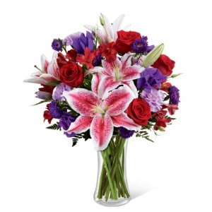 sha19 Drop Dead Gorgeous