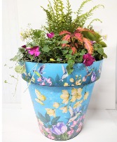 SHADE ANNUALS IN HUMMINGBIRD POT 