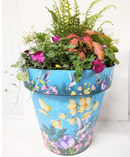 SHADE ANNUALS IN HUMMINGBIRD POT