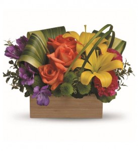 Shades of Brilliance Arrangement