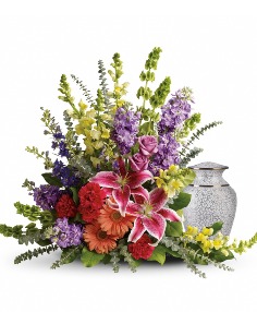 Category Image