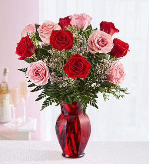 Shades of Pink and Red™ -12 Roses in Valley City, OH | HILL HAVEN FLORIST & GREENHOUSE Shades of Pink and Red™ -12 Roses in Valley City, OH | HILL HAVEN FLORIST & GREENHOUSE