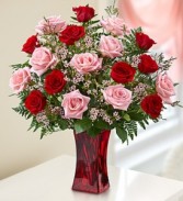 Shades of Pink and Red