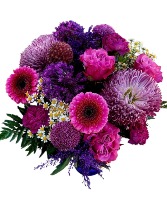 Shades Of Purple 