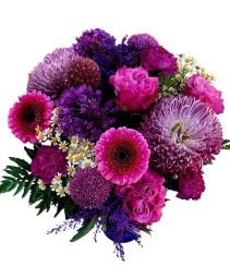 Shades Of Purple 