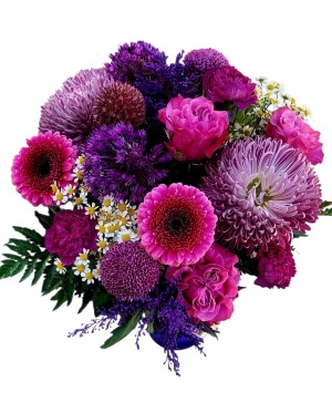 Shades Of Purple 