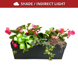 Shady Outdoor Planter 