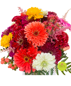 Category Image