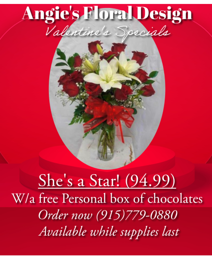 She's a Star Valentines Specials