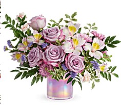 Category Image