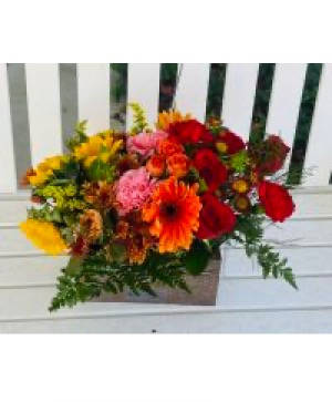 Shiny Box Arrangement