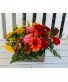 Shiny Box Arrangement 