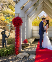 Shooting Star  Wedding