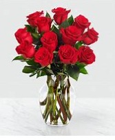 **SPECIAL**Dozen Red Roses 