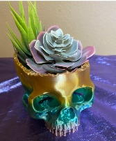 show me your skelly 