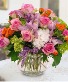 Show Stopper spring