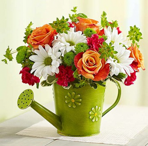 Showers of Flowers™ Arrangement in Croton On Hudson, NY | Cooke's Little Shoppe Of Flowers Showers of Flowers™ Arrangement in Croton On Hudson, NY | Cooke's Little Shoppe Of Flowers