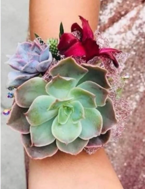 Showstopper Succulent Corsage