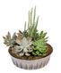 Showstopping Succulents Dish Garden