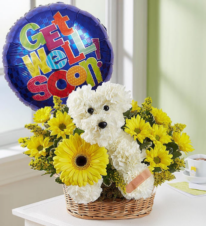 Sick As a Dog Basket Arrangement