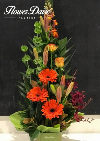 Sienna Arrangement