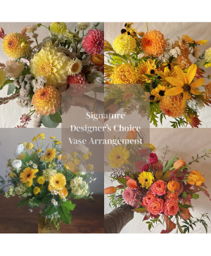 Signature Designer's Choice  