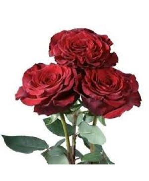 Signature Roses - Hearts Vase
