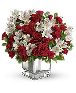 Silent Night  Cube arrangement 