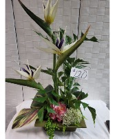 Silk Exotic Bird of Paradise Silk