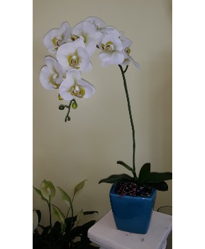  silk orchid in blue ceramic silk plant