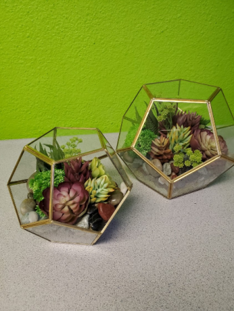 Silk Plant Succulents in Glass Orbs Gift in Las Vegas, NV | AN OCTOPUS'S GARDEN