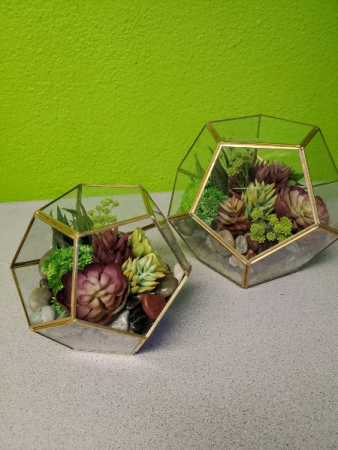 Silk Plant Succulents in Glass Orbs Gift