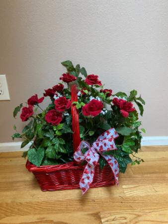RENTAL silk rose red  basket  rental  rental for theme,dance  party ,or wedding in Renton, WA | Alicia's Wonderland II