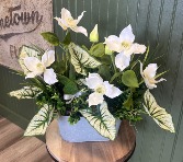 Silk White Custom Silk Arrangement