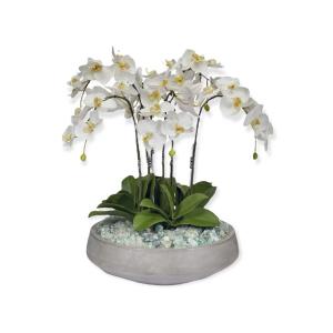 Silky White Orchid Arrangement 