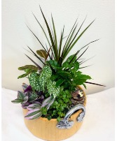 Silver Handle Charming Planter House Planter