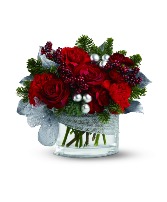 Silver Lining TFWEB261 Arrangement