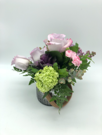 Silver Linings Cased arrangement