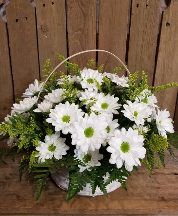 Simple and Sweet Daisy Basket  in Brighton, IL | Leanne's Pretty Petals