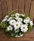 Simple and Sweet Daisy Basket 