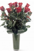  Elegance Roses