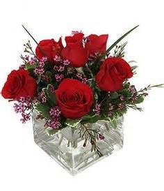 Simple Love One Half Dozen Red Roses