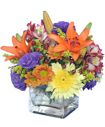 SIMPLE PLEASURES Floral Arrangement in New Port Richey, FL | FLOWERS TODAY FLORIST