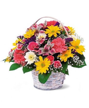 Simple Pleasures TF15-1 Basket Arrangement in Fort Worth, TX | DARLA'S FLORIST Simple Pleasures TF15-1 Basket Arrangement in Fort Worth, TX | DARLA'S FLORIST