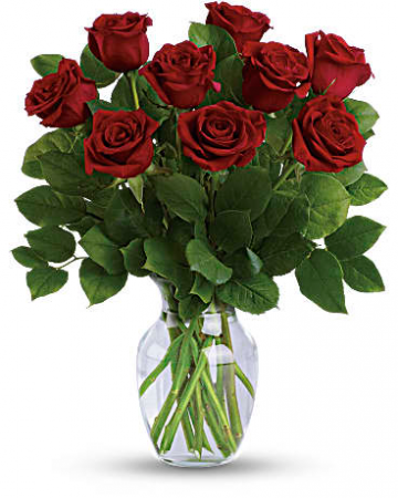 Simple 9 Red Roses short stems Roses