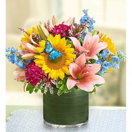 Simple Sophistication™ by 1-800-Flowers