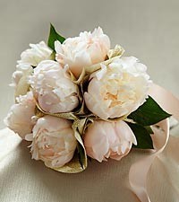 SIMPLE SOPHISTICATION WEDDING