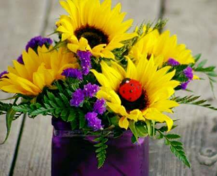 SIMPLE SUNFLOWERS