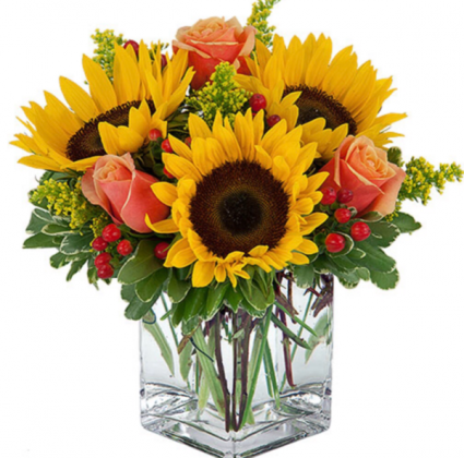 Simple Sunflowers & Roses small cube vase  Fall 