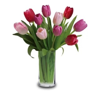 Simple Tulips 